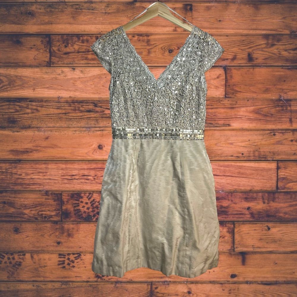 Kay Unger Silk Blend Champagne Embroidered Sequined Dress Size 8